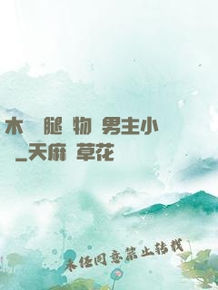 木馬雙腿墜物雙男主小說