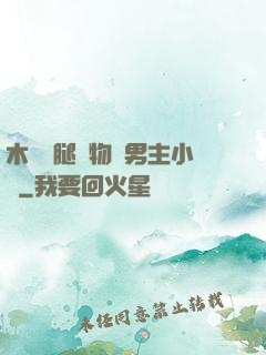 木馬雙腿墜物雙男主小說