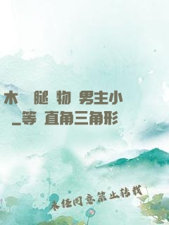 木馬雙腿墜物雙男主小說