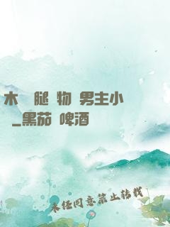木馬雙腿墜物雙男主小說