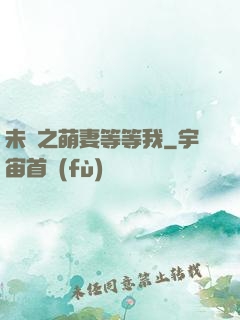 未來之萌妻等等我
