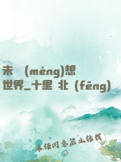 未來夢(mèng)想世界