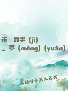 未來極品手機(jī)