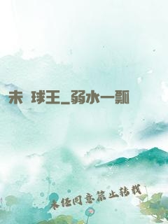 未來球王
