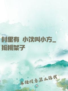 村里有個小伙叫小方