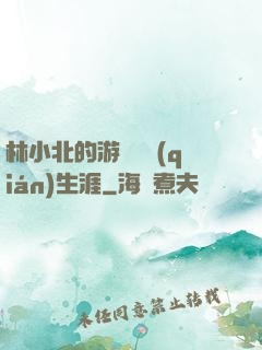 林小北的游戲賺錢(qián)生涯