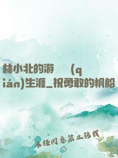林小北的游戲賺錢(qián)生涯