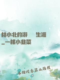 林小北的游戲賺錢生涯