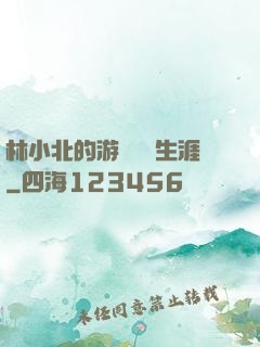 林小北的游戲賺錢生涯