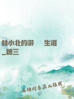林小北的游戲賺錢生涯