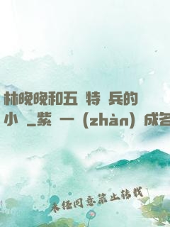 林晚晚和五個特種兵的小說