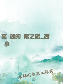 某劍魂的無限之旅