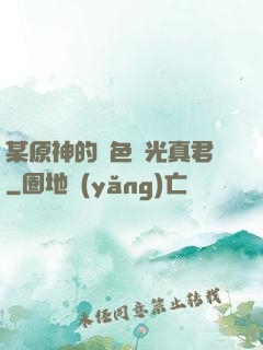 某原神的黃色閃光真君