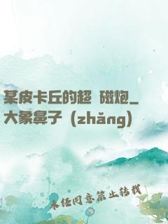 某皮卡丘的超電磁炮