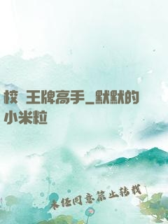 校園王牌高手