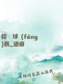 校園籃球風(fēng)暴