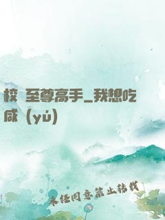 校園至尊高手