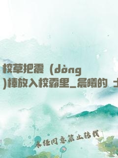 校草把震動(dòng)棒放入校霸里