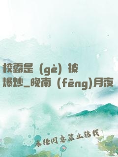 校霸是個(gè)雙被爆炒