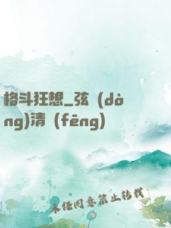格斗狂想