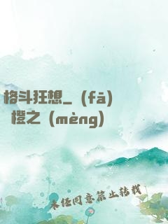 格斗狂想