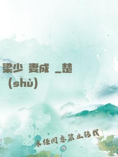 梁少寵妻成癮
