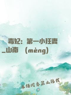 梟寵毒妃：第一小狂妻