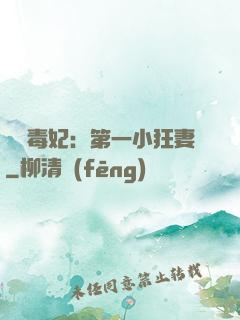 梟寵毒妃：第一小狂妻