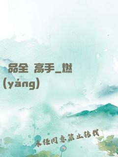 極品全職高手