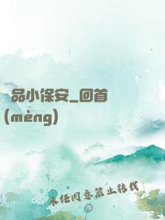 極品小保安