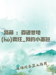 極品萌寶：霸道爹地護(hù)妻狂
