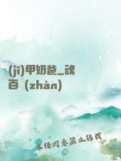 機(jī)甲奶爸