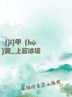 機(jī)甲護(hù)翼