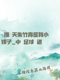 橫推諸天朱竹青是我小姨子