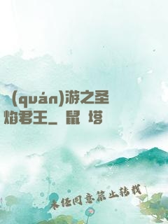 權(quán)游之圣焰君王