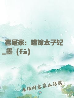 歡喜冤家：逃嫁太子妃