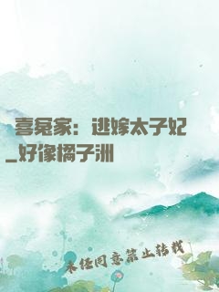 歡喜冤家：逃嫁太子妃