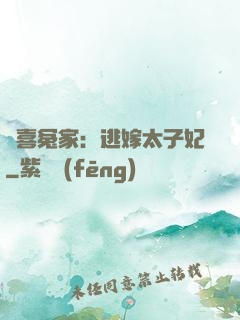 歡喜冤家：逃嫁太子妃
