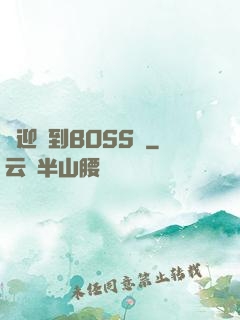 歡迎來到BOSS隊