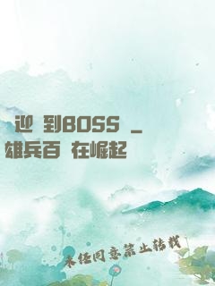 歡迎來到BOSS隊