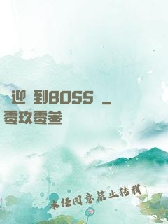 歡迎來到BOSS隊