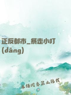正反都市