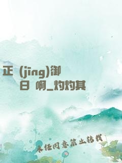 正經(jīng)御獸師誰寫日記啊
