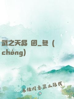 武之天晶輪回