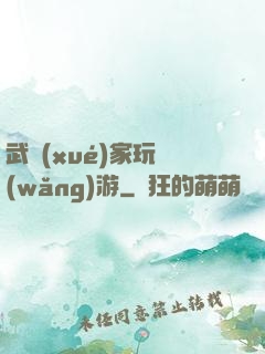 武學(xué)家玩網(wǎng)游