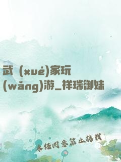 武學(xué)家玩網(wǎng)游