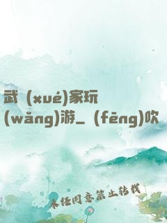 武學(xué)家玩網(wǎng)游