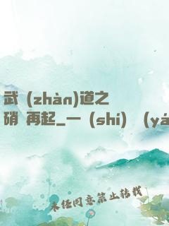 武戰(zhàn)道之硝煙再起