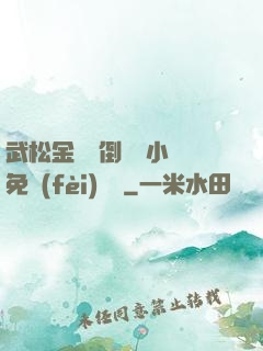 武松金蓮顛倒鸞鳳小說免費(fèi)閱讀