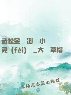 武松金蓮顛倒鸞鳳小說免費(fèi)閱讀